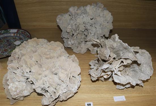 Three large pieces of coral